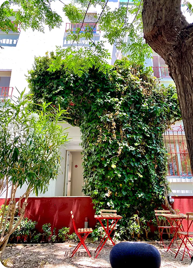 Spanish School in Cadiz