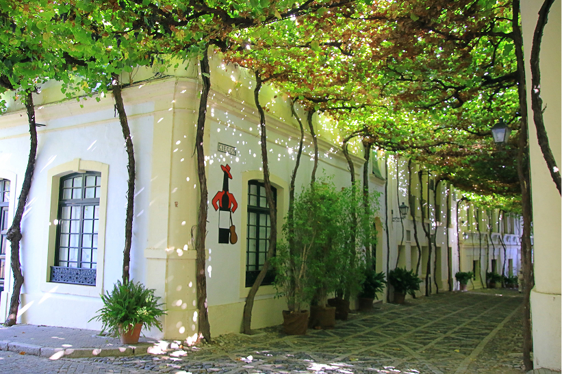Bodega González Byass