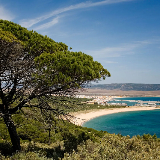 Dunas de la playa de Bolonia