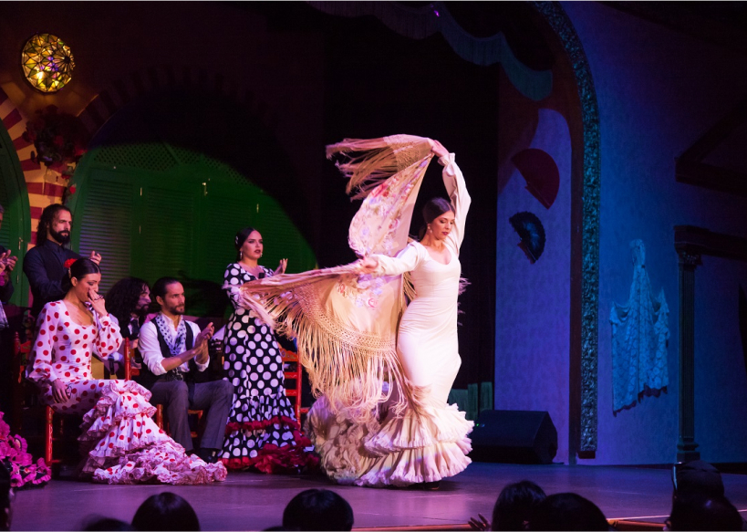 Espectáculo flamenco